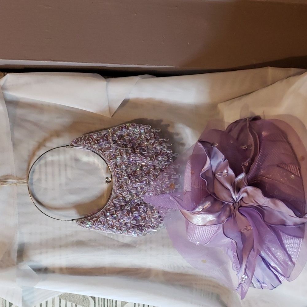Like New Beaded Hat & purse set